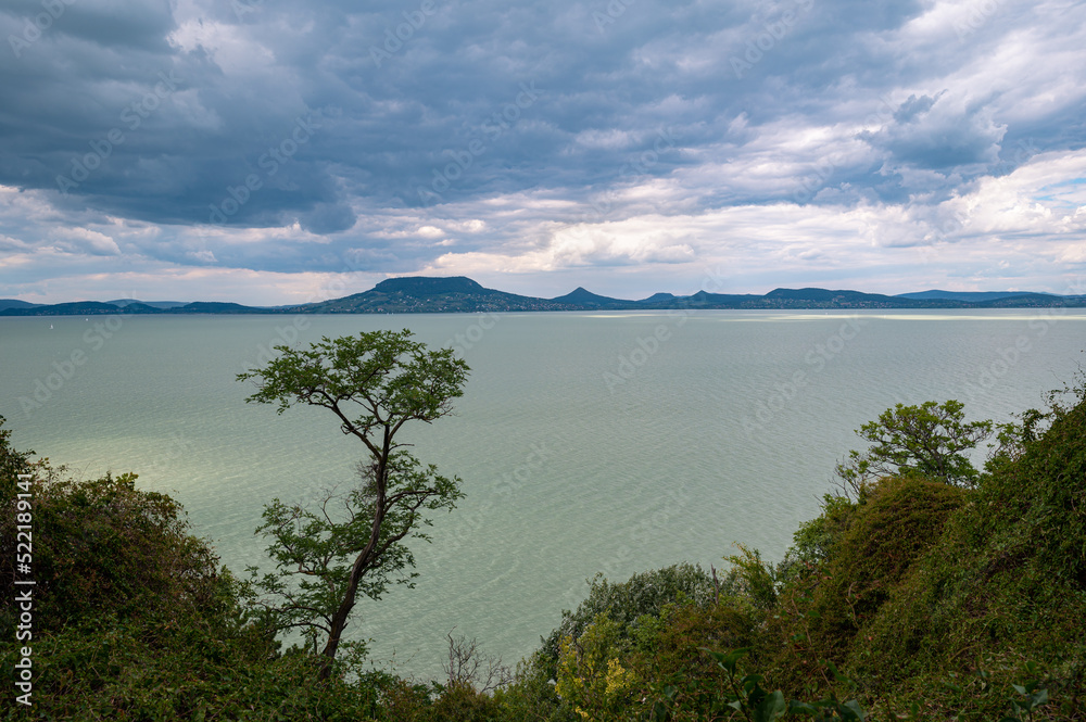 Scenic view of Lake Balaton, Hungary with solitary tree in the foreground