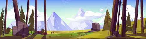 Mountain landscape  nature view with rock peaks  green field  tree trunks and spruces under blue sky with fluffy clouds. Picturesque highlands cartoon scenery background  vector illustration