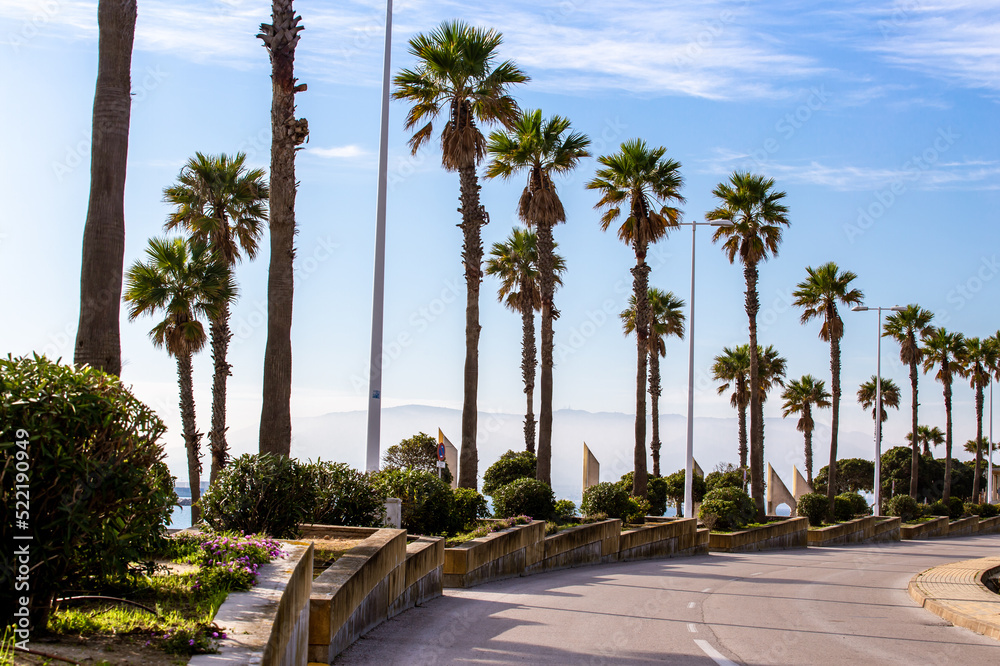 Road and palm trees. Andalusia Spain