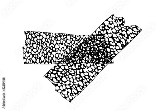 Black and white washi tape with wild print. patterned washi tape isolated on a white background.