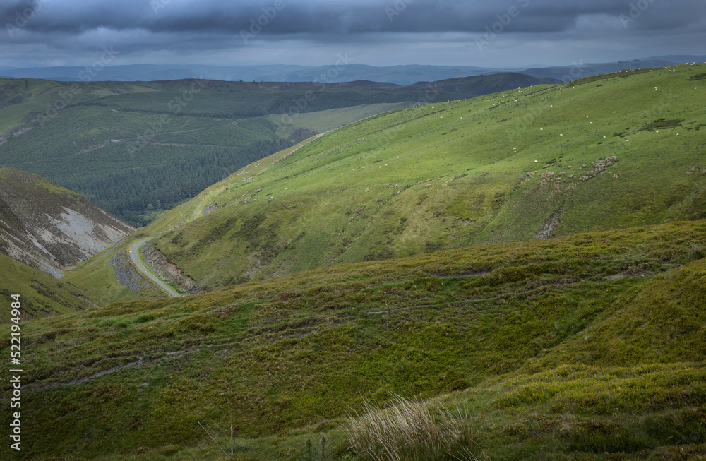 hills and meadows, vistas, aberystwyth, ceredigion, wales, england, uk, great brittain, road, 