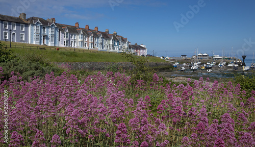 aberaeron, ceredigion,, Bay, coast, sea, seaside resort, Houses, Wales, UK, England, Great Brittain, flowers, panorama, photo