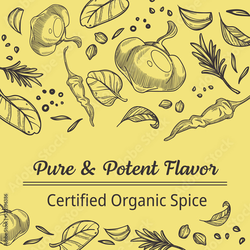 Pure and potent flavor, organic spice banners