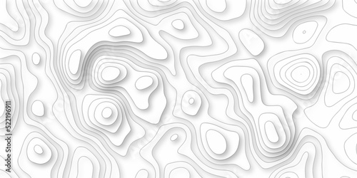 White wave paper curved reliefs maunt map abstract background, Abstract topographic contours map background, Topography map background. Vector geographic contour map.