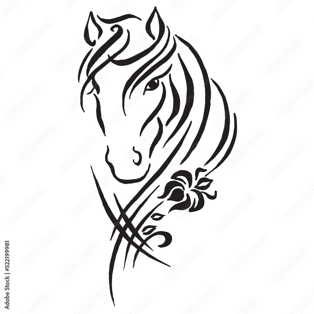 Horse head drawn in strokes. Black and white drawing of a horse muzzle