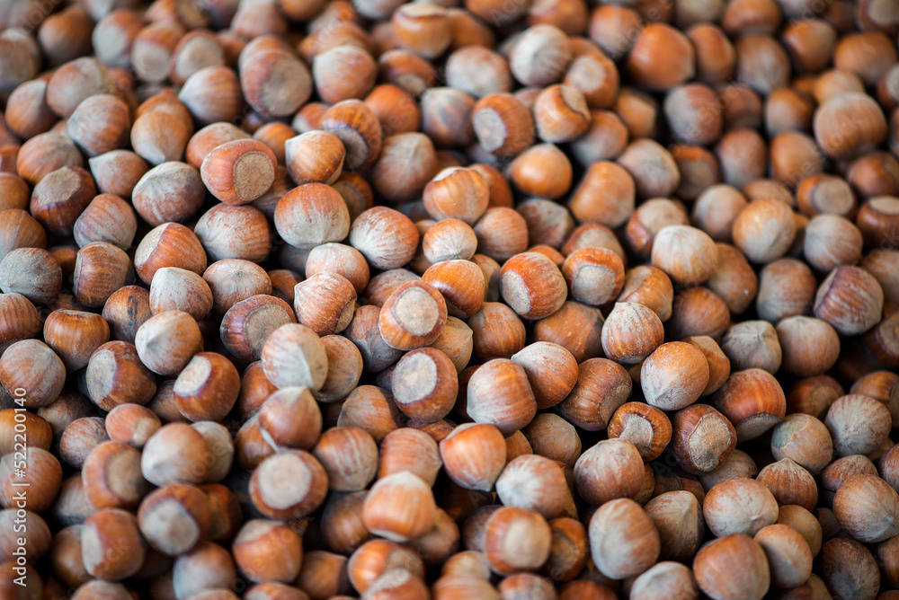 pile of unpeeled hazelnuts full frame close-up background with selective focus pile of unpeeled hazelnuts full frame close-up background with selective focus