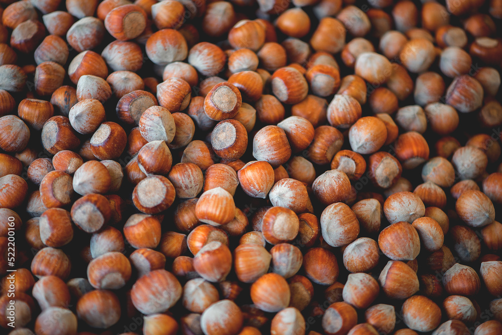 pile of unpeeled hazelnuts full frame close-up background with selective focus pile of unpeeled hazelnuts full frame close-up background with selective focus