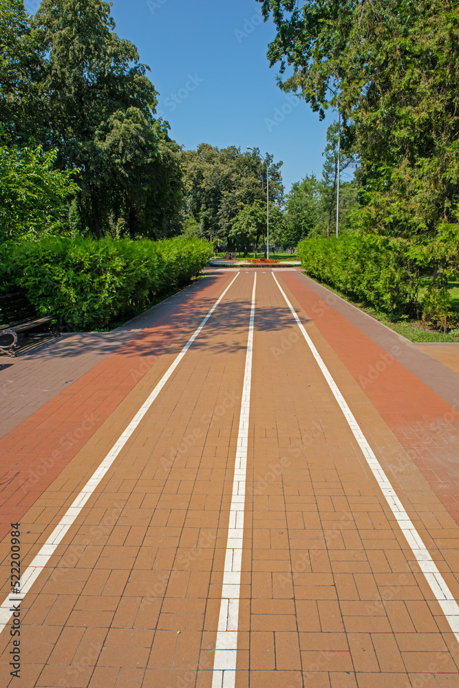 Obraz premium Bicycle path in a green city park in summer on a sunny day