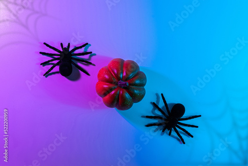 Halloween design. Black night spider, scary spooky pumpkin on night neon helloween background. Happy Halloween concept. Frame. Copy space, Flat lay. © Maksym