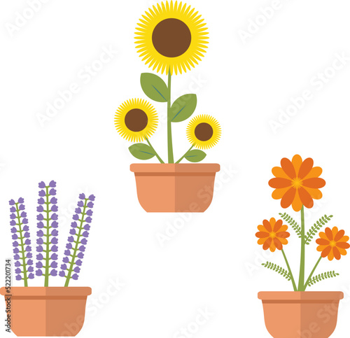 Set of home plants. Illustration in doodle style. For banner, card, greeting. Editable vector EPS8.