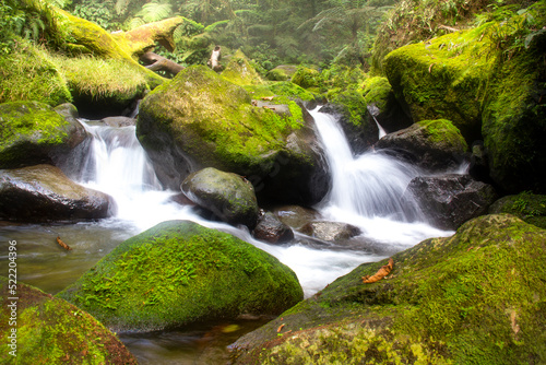 Mossy Forest and Rock formation with running water in the river