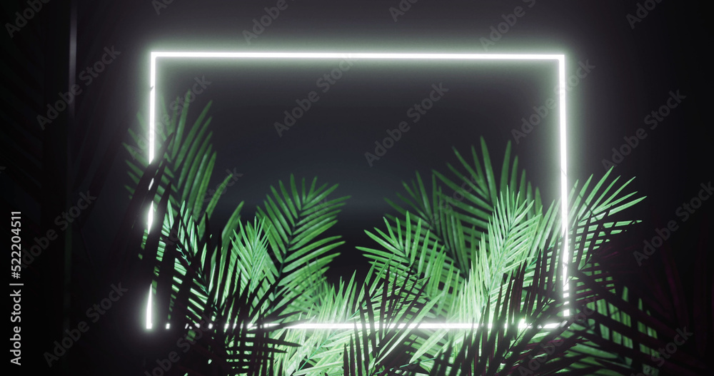Leinwandbild Motiv - vectorfusionart : Image of leaves over white neon rectangle on black background