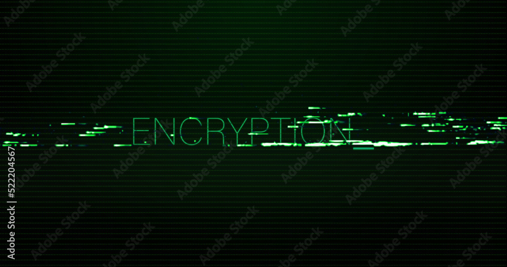 Fototapeta premium Image of interference over encryption text on black background