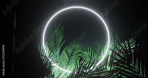 Image of leaves over white neon circle on black background