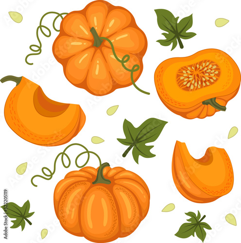 Pumpkin set of ripe pumpkins, leaves, pumpkin slices, seeds. Vector illustration in a flat style on a white background.