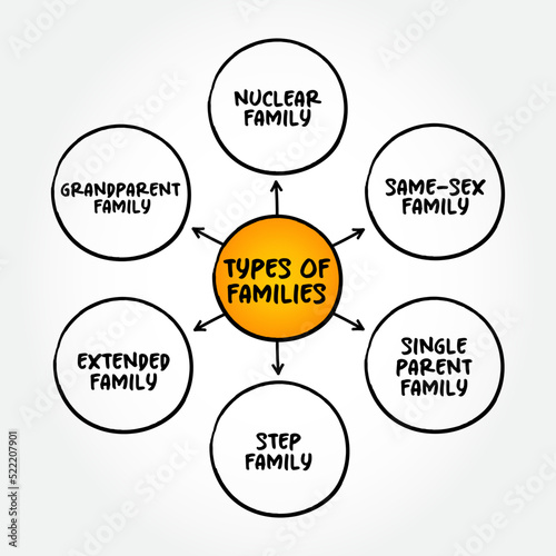 6 Types of Families, mind map concept for presentations and reports