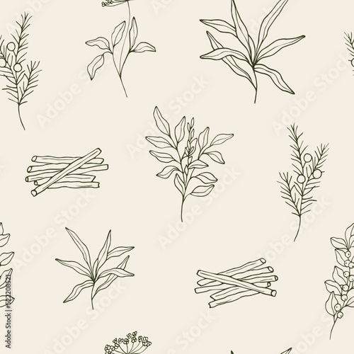 Hand drawn medicinal plants and ayurvedic herbs seamless pattern photo