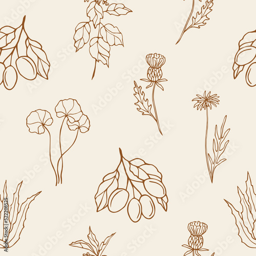 Fototapete Hand drawn medicinal plants and flowers seamless pattern