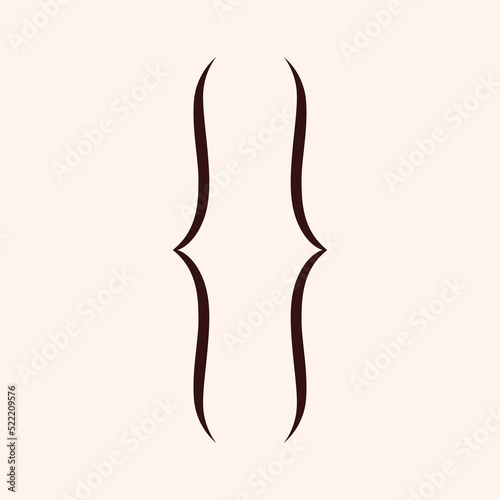 Curly brackets pair. Double braces, symmetric symbol for text quote, mathematics. Typography swirly mark, opening and closing frames, for punctuation in maths. Isolated flat vector illustration