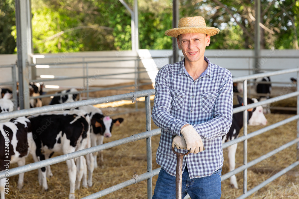 Portrait of confident successful european male farmer posing in cowshed