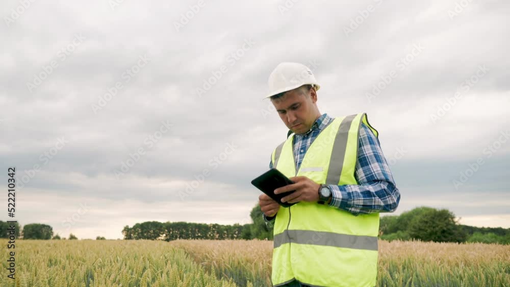 Man farmer walks through a wheat field at sunset, touching green ears of wheat with his hands. Hand farmer is touching ears of wheat on field in sun, inspecting her harvest. Agricultural business Man farmer walks through a wheat field at sunset, touching green ears of wheat with his hands. Hand farmer is touching ears of wheat on field in sun, inspecting her harvest. Agricultural business