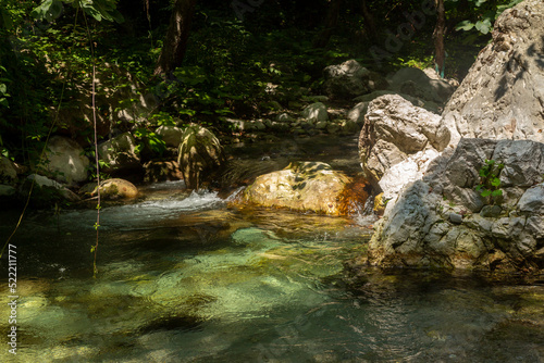 Tusciano river forest scenery in cilento