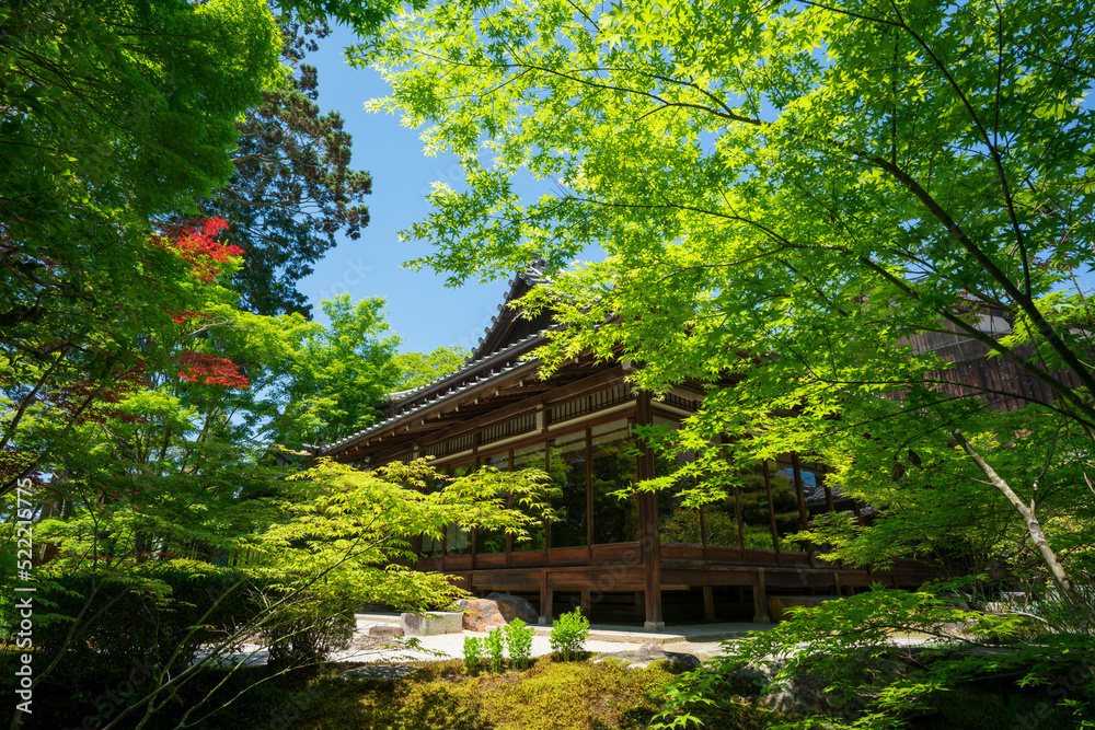 京都　南禅寺の塔頭寺院　天授庵の新緑