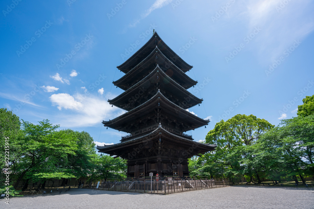 京都　東寺の五重塔　新緑