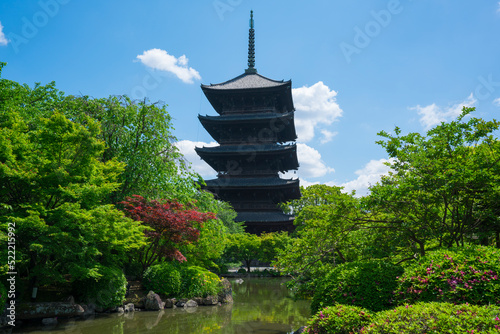 京都 東寺の五重塔 新緑 