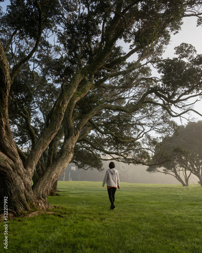 Fototapeta Naklejka Na Ścianę i Meble -  Woman walking in the fog among Pohutukawa trees.  Auckland. Vertical format.