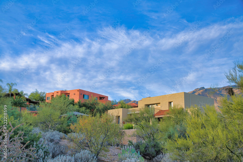 Fototapeta premium Mediterranean houses on a slope with wild plants at Tucson, Arizona