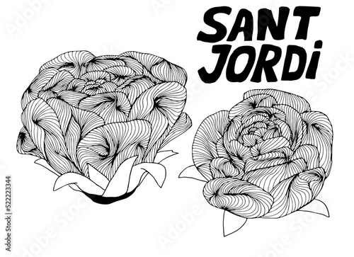 Ilustración en líneas sinuosas de rosa, flor. Logotipo para la festividad de Cataluña 'Sant Jordi'. Día del Libro