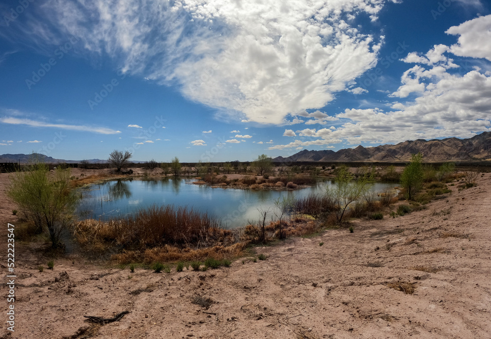 Pond in the Middle of a Desert Pond in the Middle of a Desert