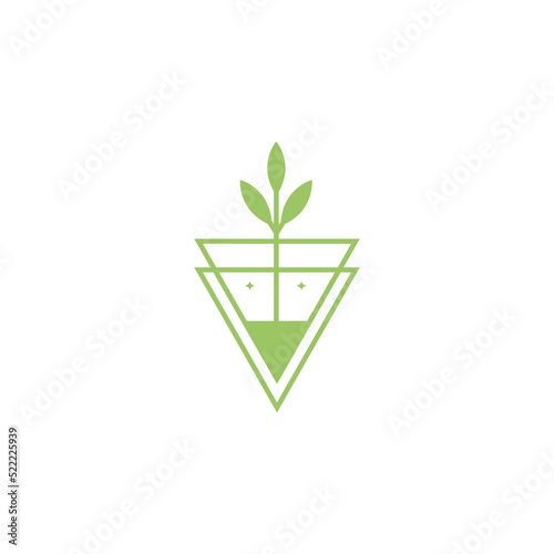 triangle vase with growth plant logo design