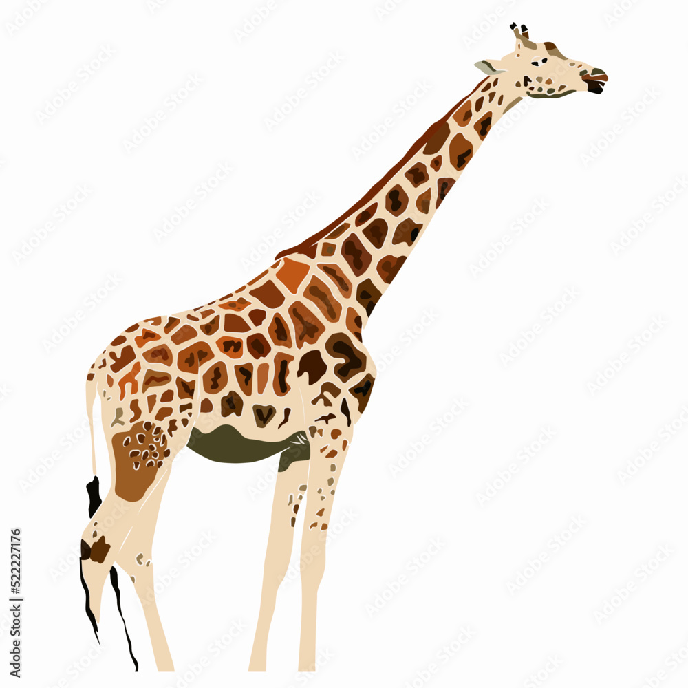 Illustration: Beautiful giraffe image
