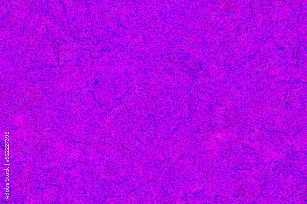 Obraz premium Designer wallpaper background template Gentle classic texture for your graphic design works etc