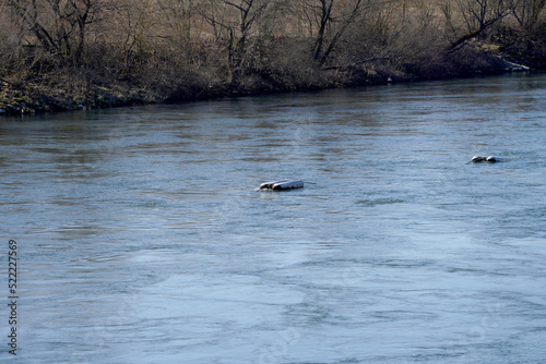 Danube river in Bavaria 