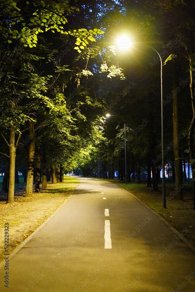 City park in the night with a road and street lights, vertical frame
