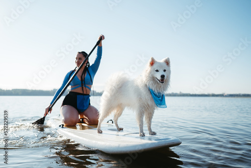 Snow-White Japanese Spitz Dog Standing on Sup Board, Woman Paddleboarding with Her Pet on the City Lake