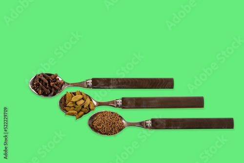 Concept image with spoons containing cloves cumin seeds and cardamon cardamom pods on a colourful green mint background photo