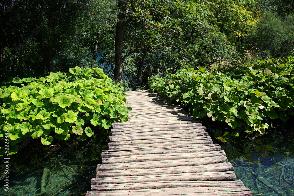 Fototapeta premium Pomost nad jeziorem otoczony bujną roślinnością, Plitwickie Jeziora, Chorwacja