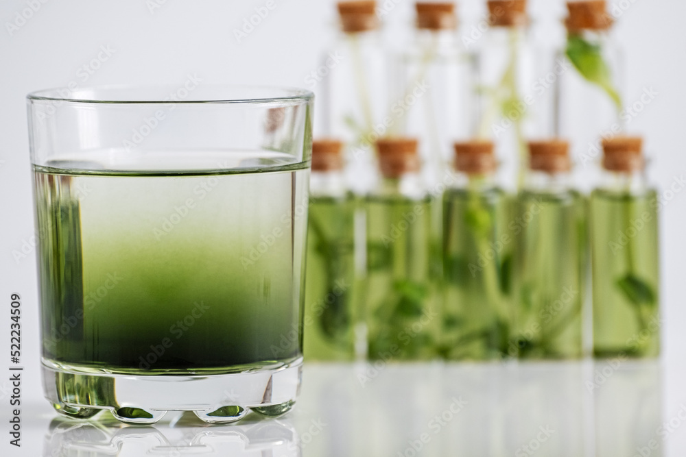 Micro greens or sprouts of raw live sprouting vegetables sprout from organic plant seeds. Concept of superfood, healthy eating, detox and diet Micro greens or sprouts of raw live sprouting vegetables sprout from organic plant seeds. Concept of superfood, healthy eating, detox and diet
