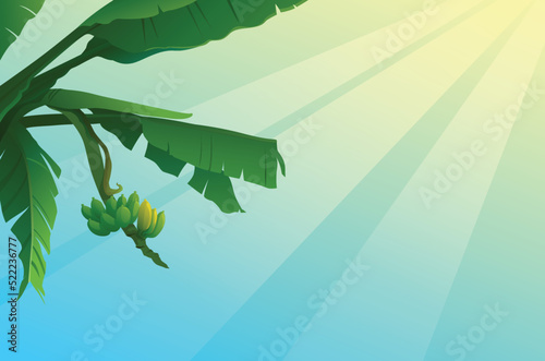 -Illustration of banana tree and sky.