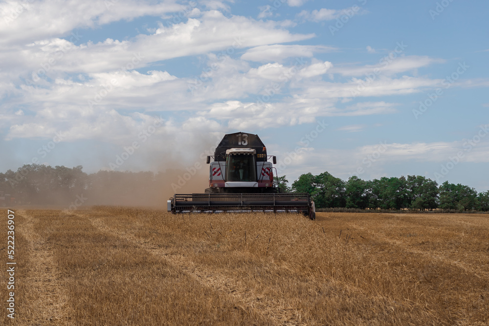 Fototapeta premium Modern harvester working on a wheat crop