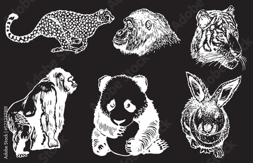 Graphical  set of wild animals isolated on black background,vector ink pen engraved illustration