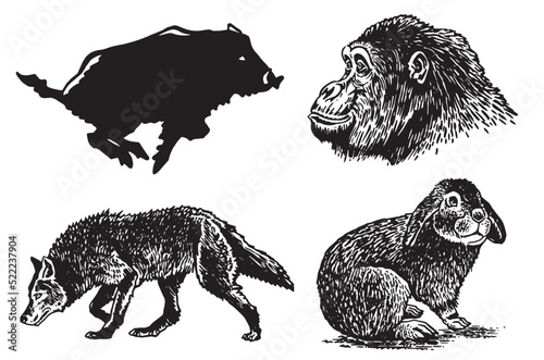 Graphical set of animals isolated on white, vector monkey,rabbit ,wold and boar