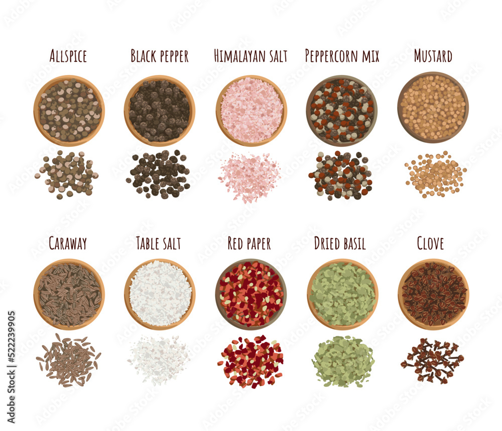Seasoning set flat style, top view. Clove, Mustard, Allspice, Himalayan