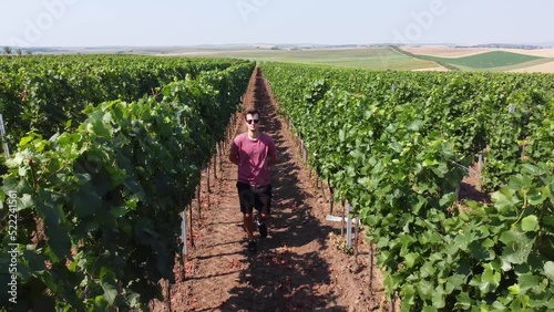 Aspiring winemaker goes through his crop and evaluates the vines over the summer, wondering what the harvest will be like. Grower's Spirit. Kyjov, Czech republic. 4k video