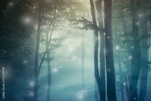 magical forest background