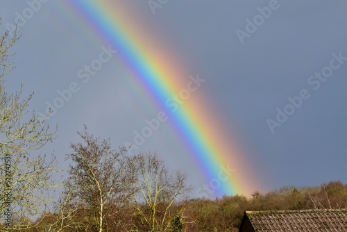 Supernumerary rainbow above forest, West Midlands, Coventry, England, UK